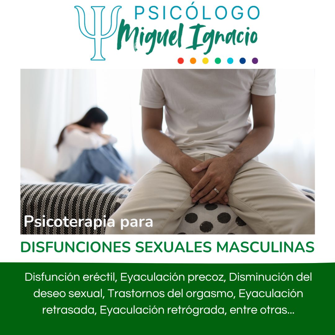 Miguel Ignacio Fernandez Donoso-2