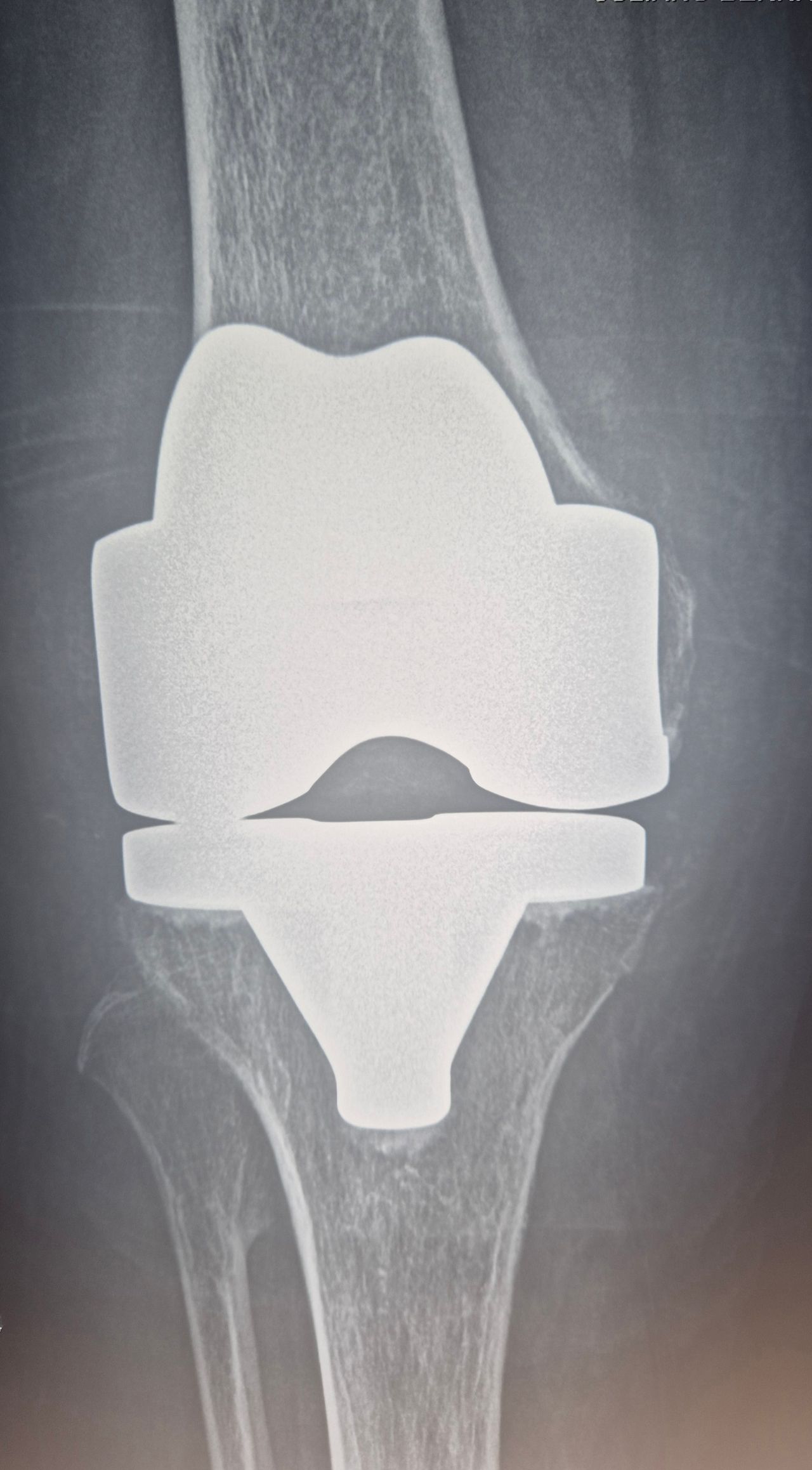 Juliano Bernadelli Guerra-10