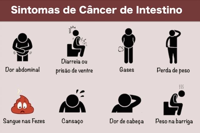 Eduardo Rodrigues Zarco Da Câmara-17