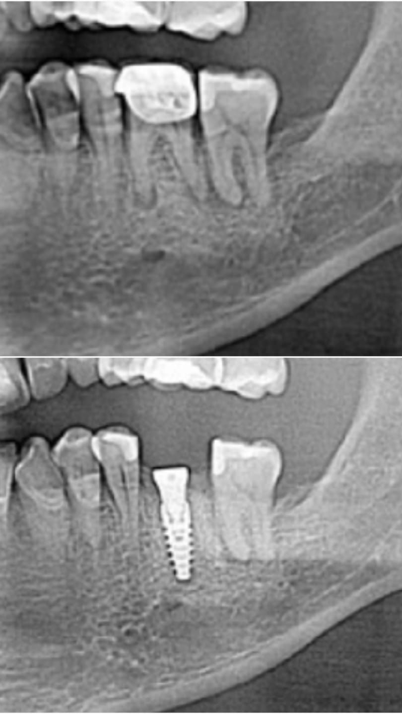 Paola Andrea Amato Cuartas-17