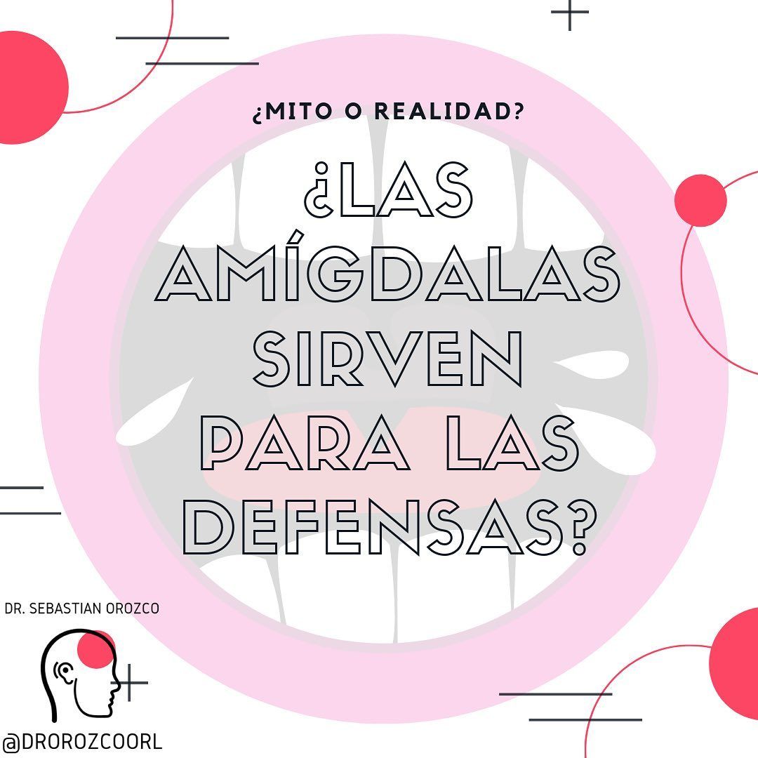 Sebastian Orozco Arteaga-7