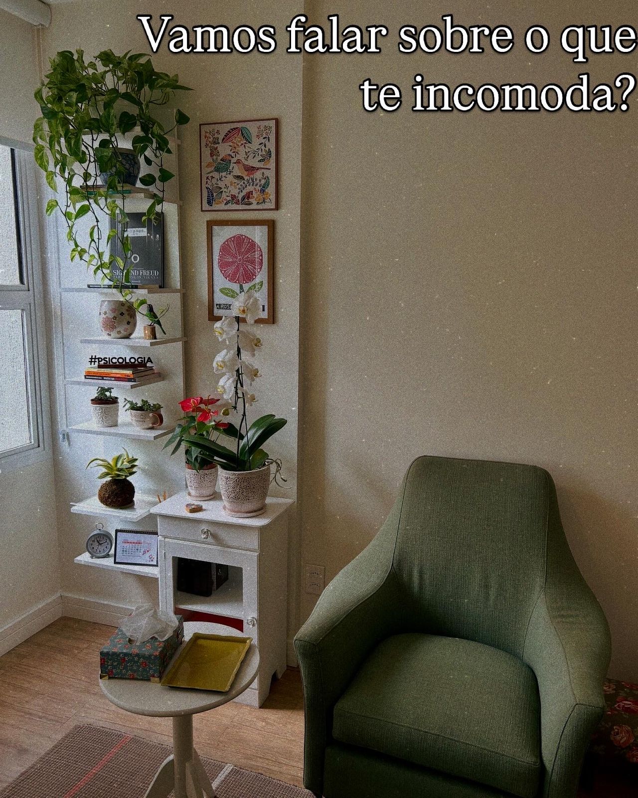 Elisabete Paoletti-7