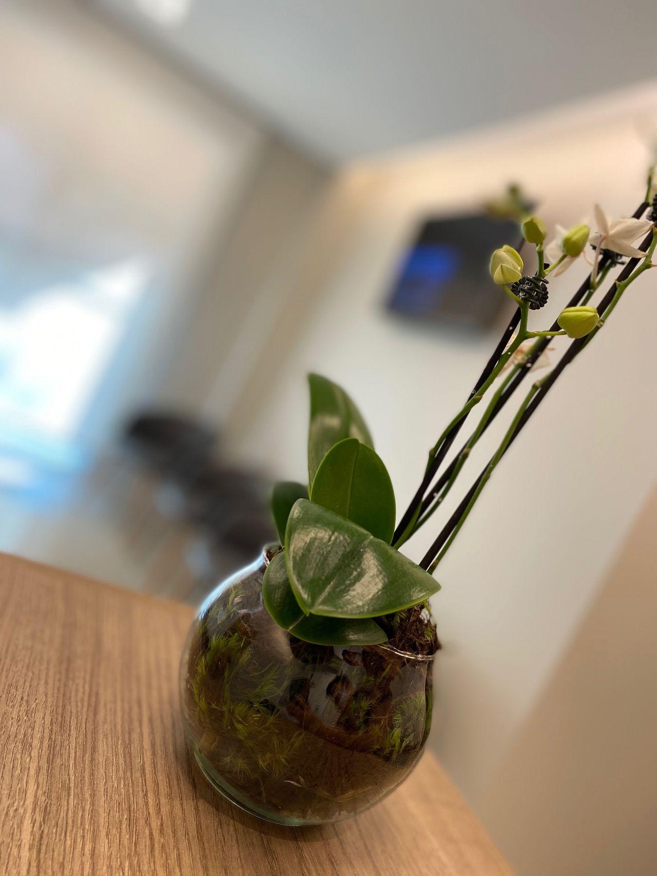 Michel Roberto Bervian-3