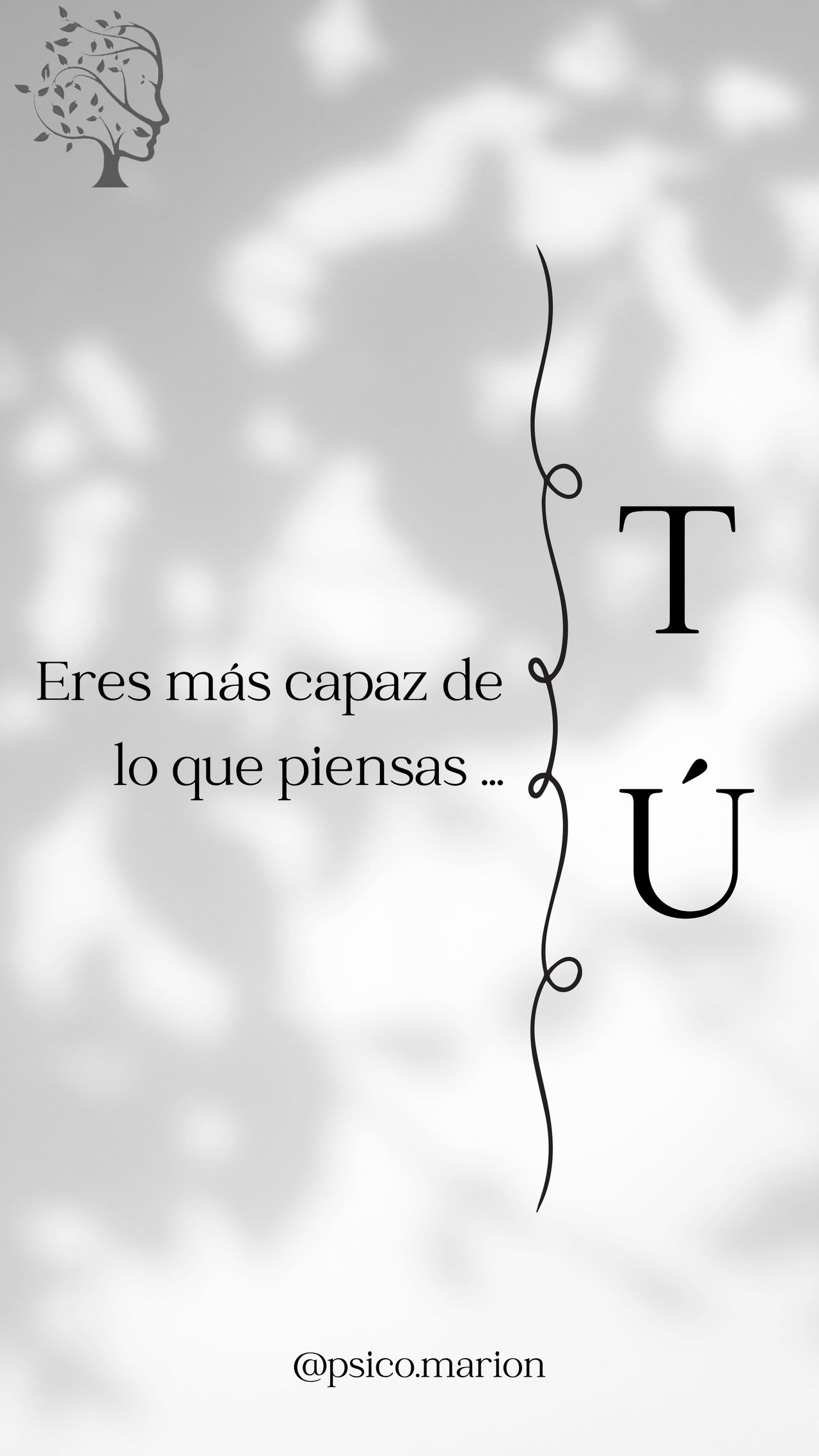 Marion Meneses Guerra-4