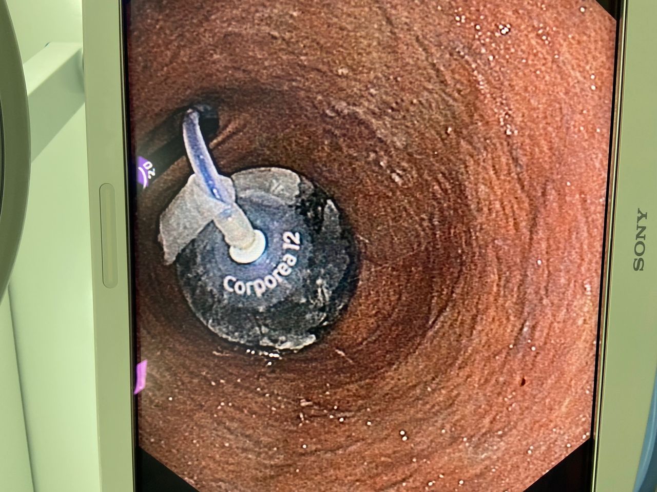 Guilherme Amadeu Poleto-45