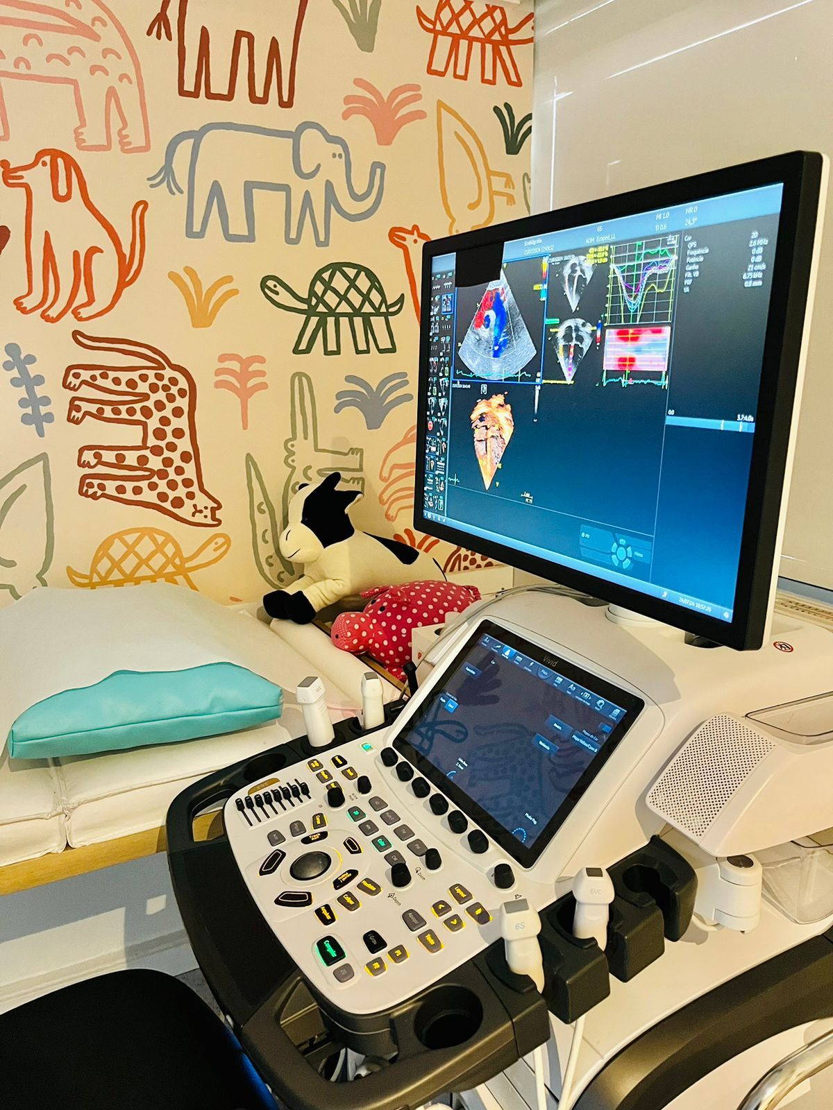 Fabricio Marcondes Camargo-4