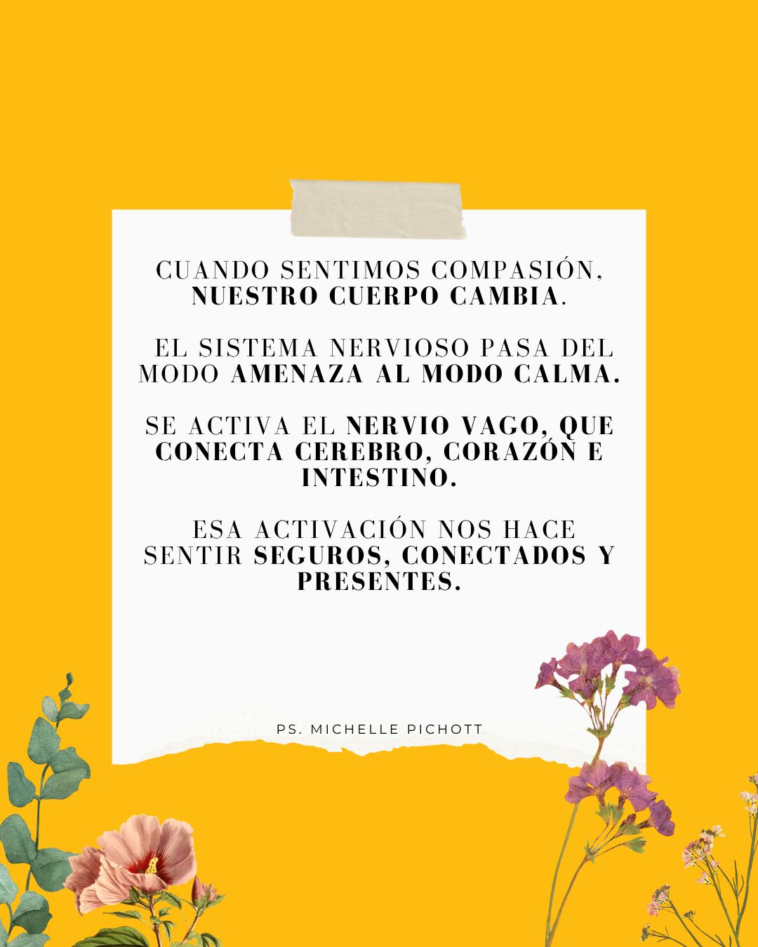 Michelle Josefa  Pichott Gallardo-1