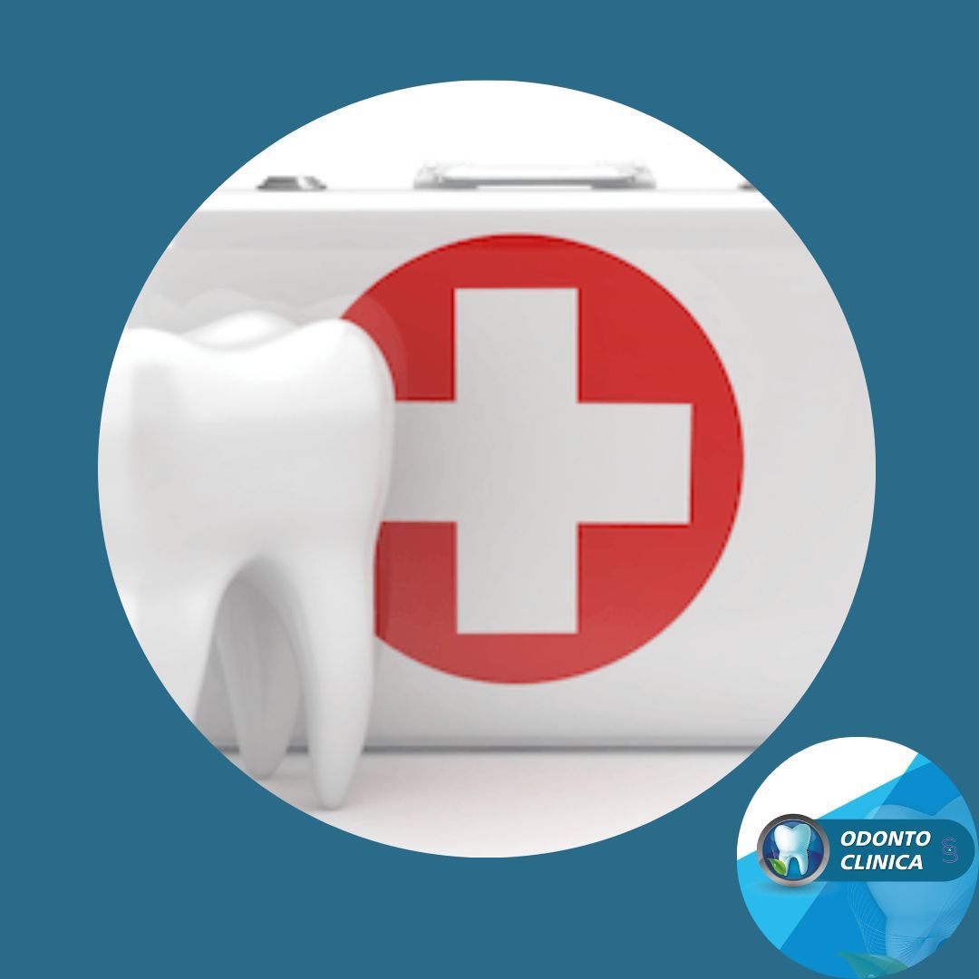 Cecilia Inés Socias Altamirano-43