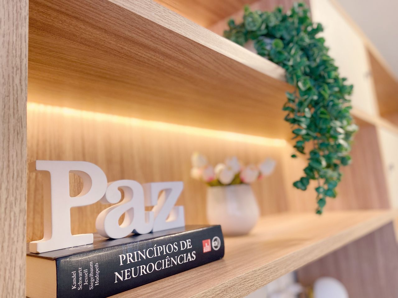 Tereza Maria Costa E Silva De Lima-1