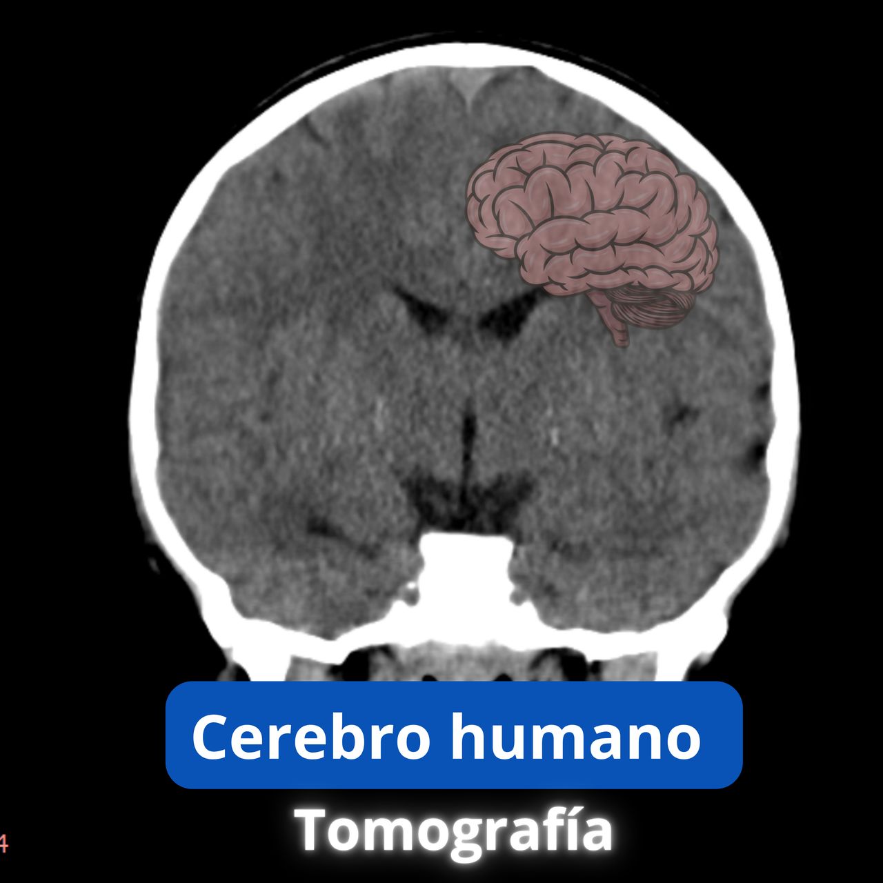 David Tafur Muñoz-1383