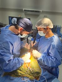 Luiz Eduardo Ribeiro-1