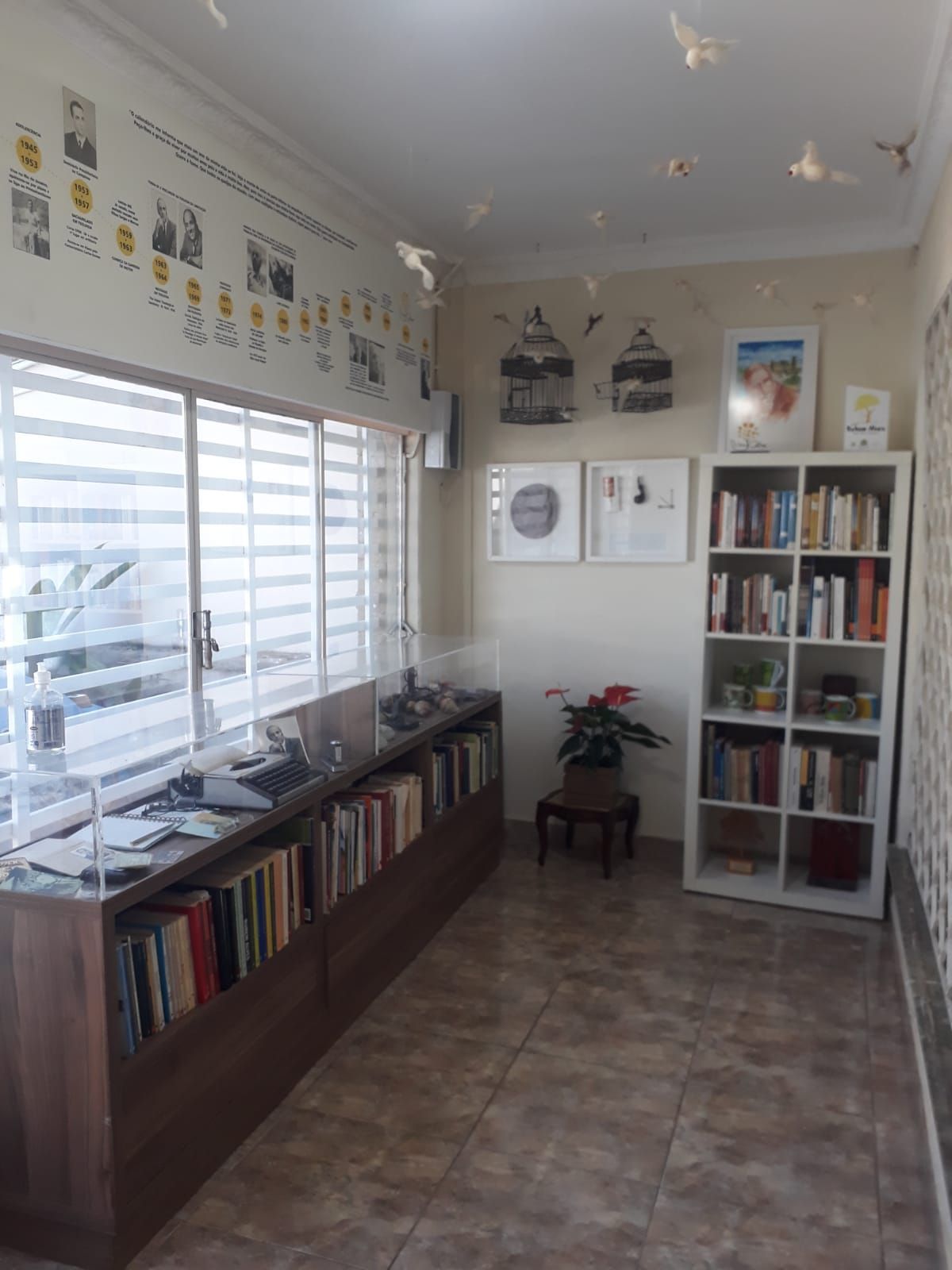 Mariana Figueira Alves-0