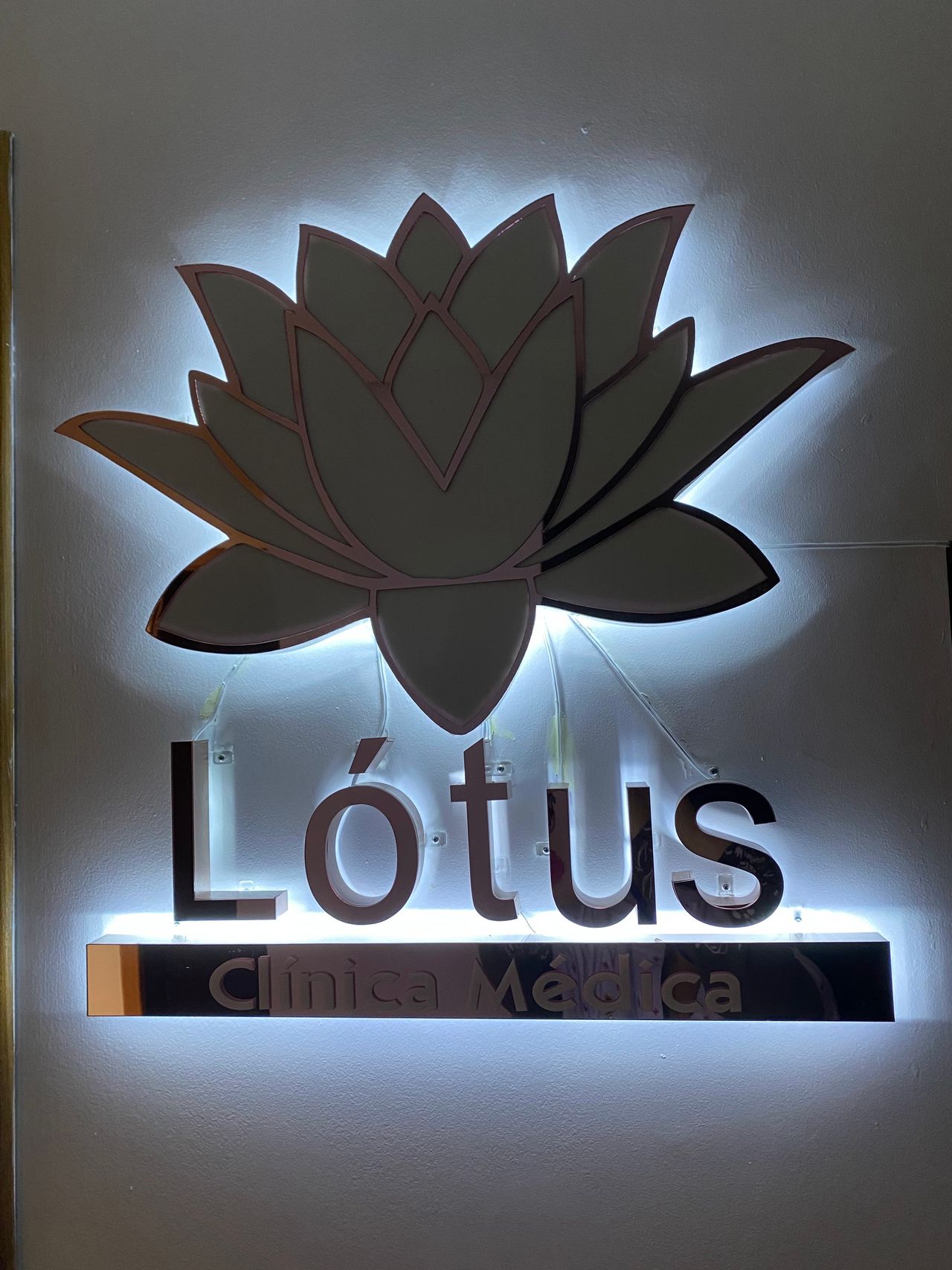 Fernanda Laranjeira Mendonça-24