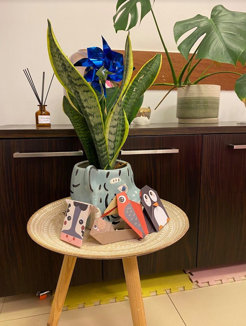 Paula Reyes Figueroa-3