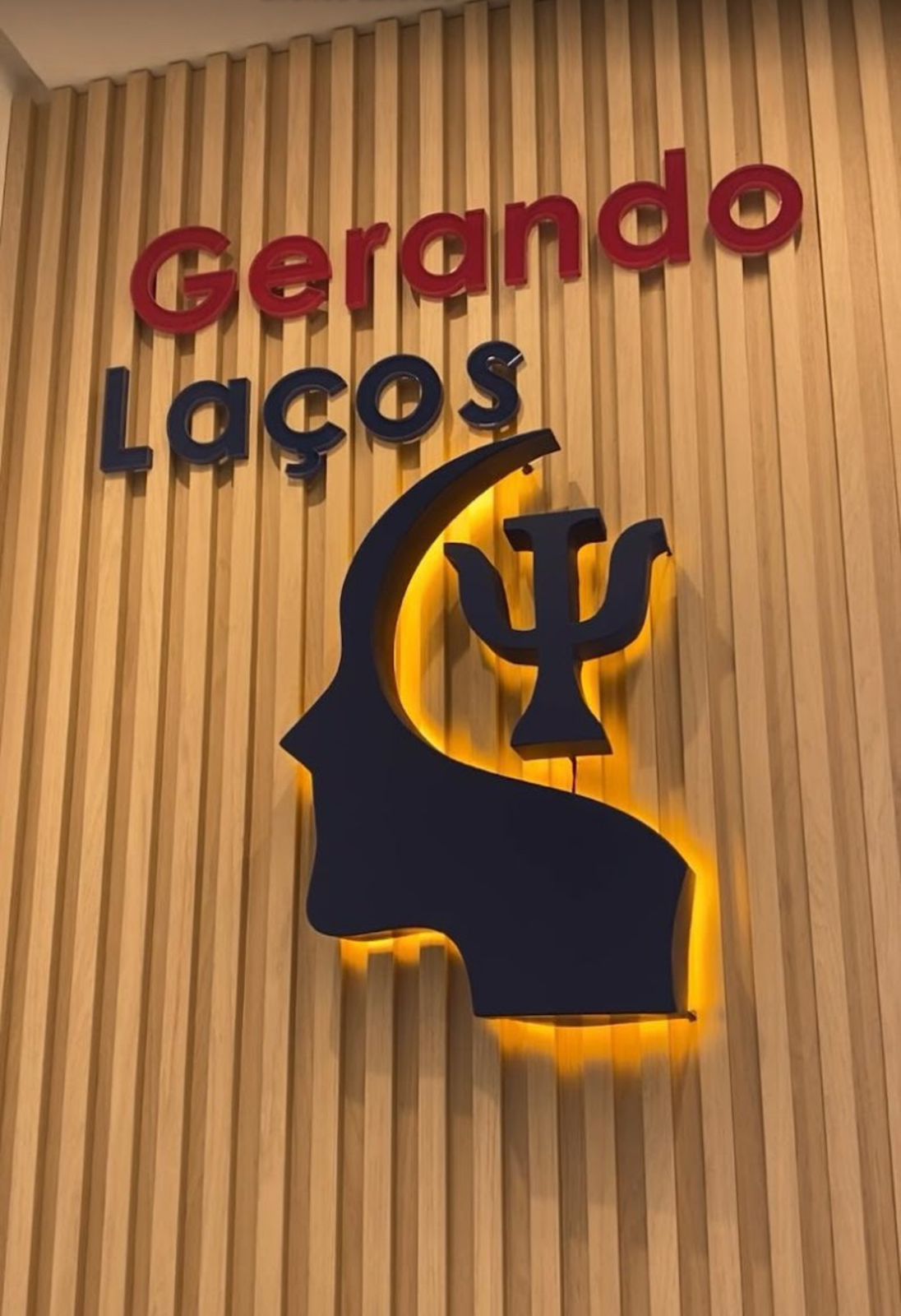 Andrea  Araújo De Sousa -4