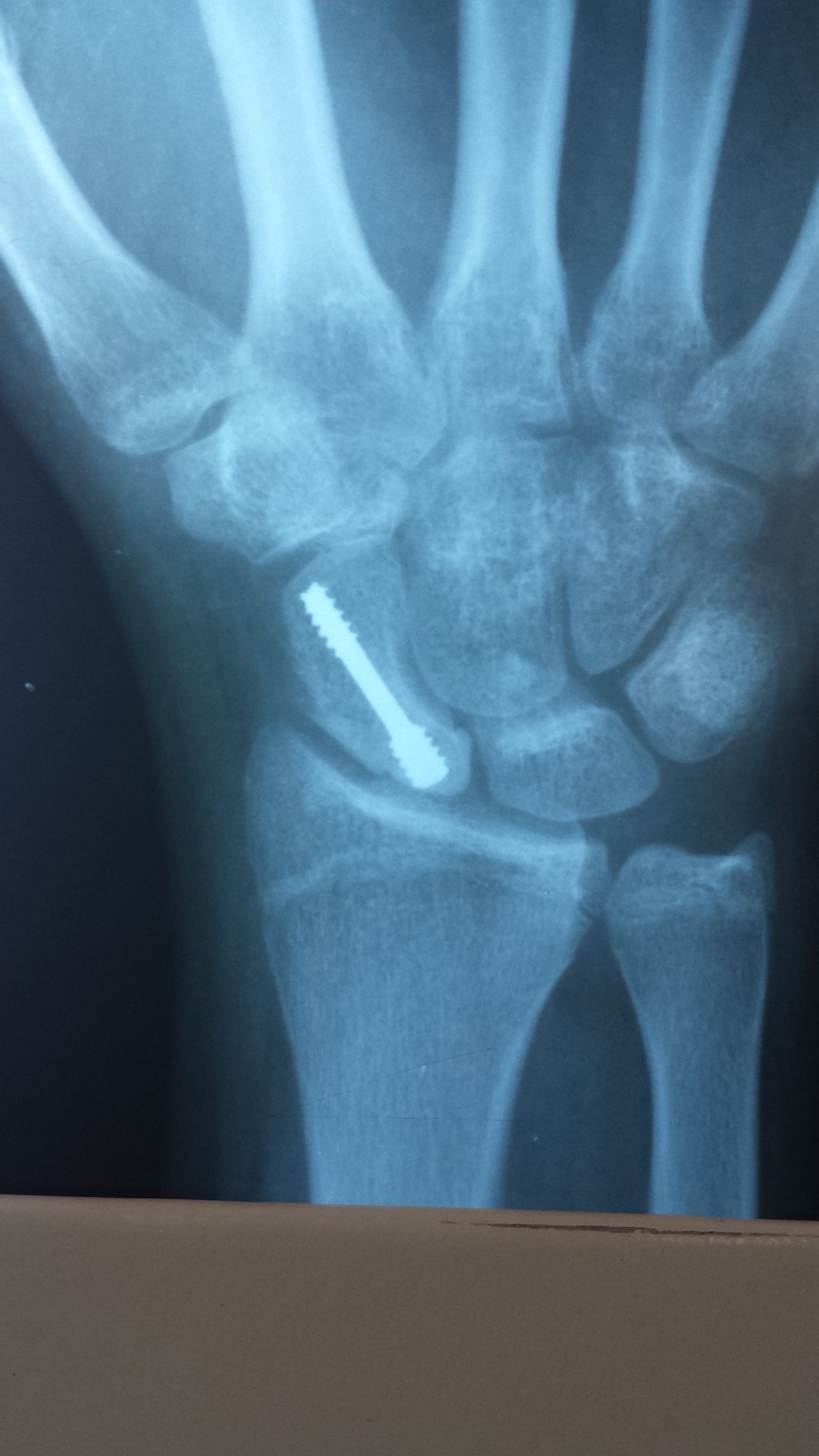 Samir Haikal Junior-19