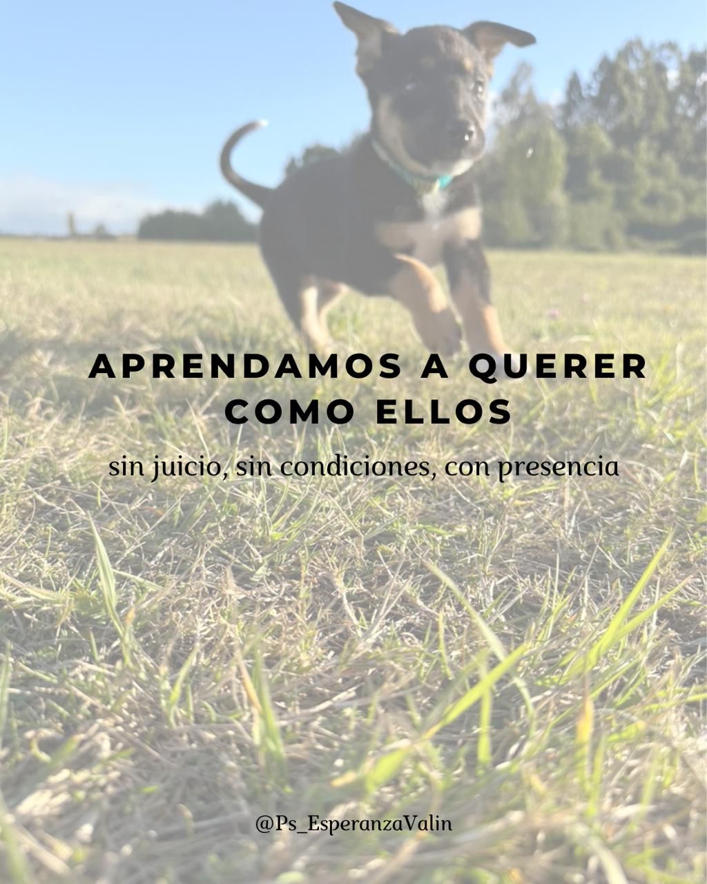 Esperanza Lagos Valin-12