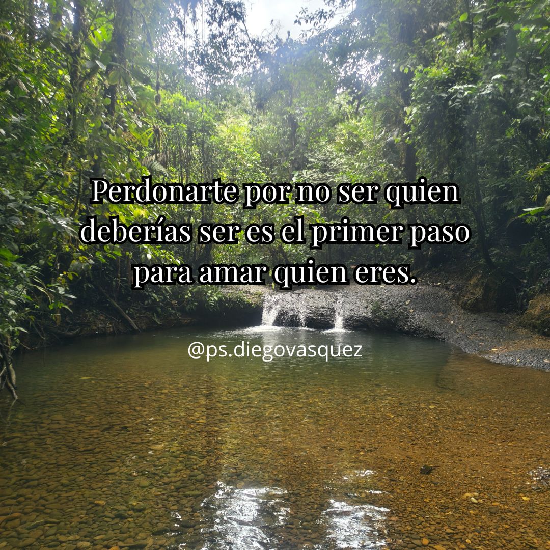 Diego Fernando Vasquez Espinosa-11