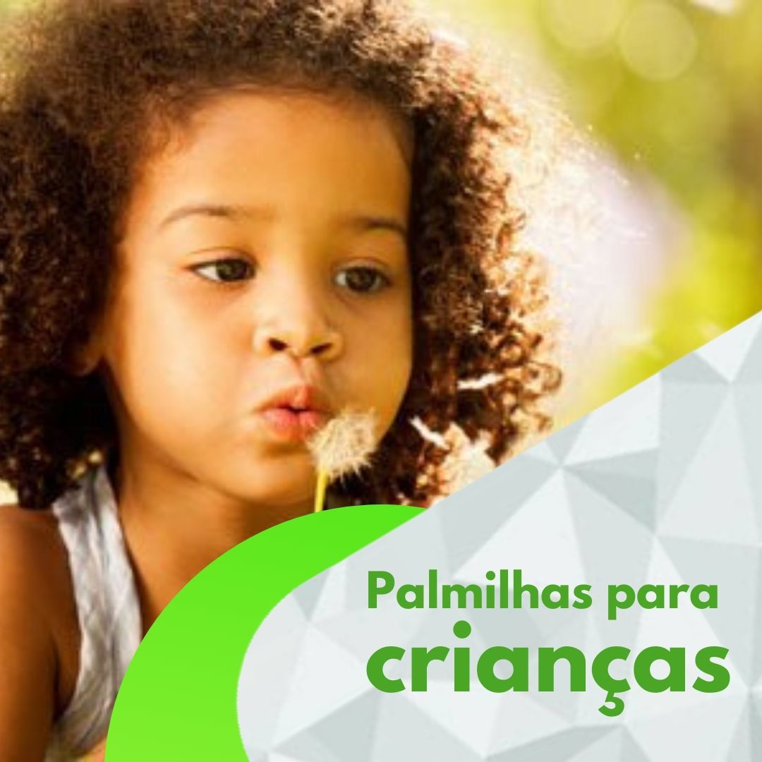 José Lourenço Kutzke-8