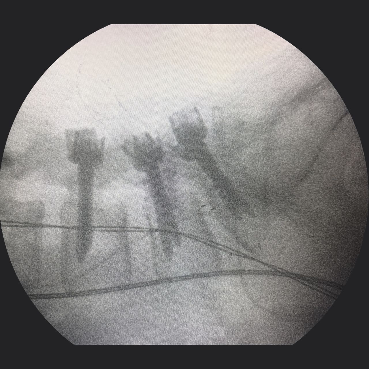 David Tafur Muñoz-2464