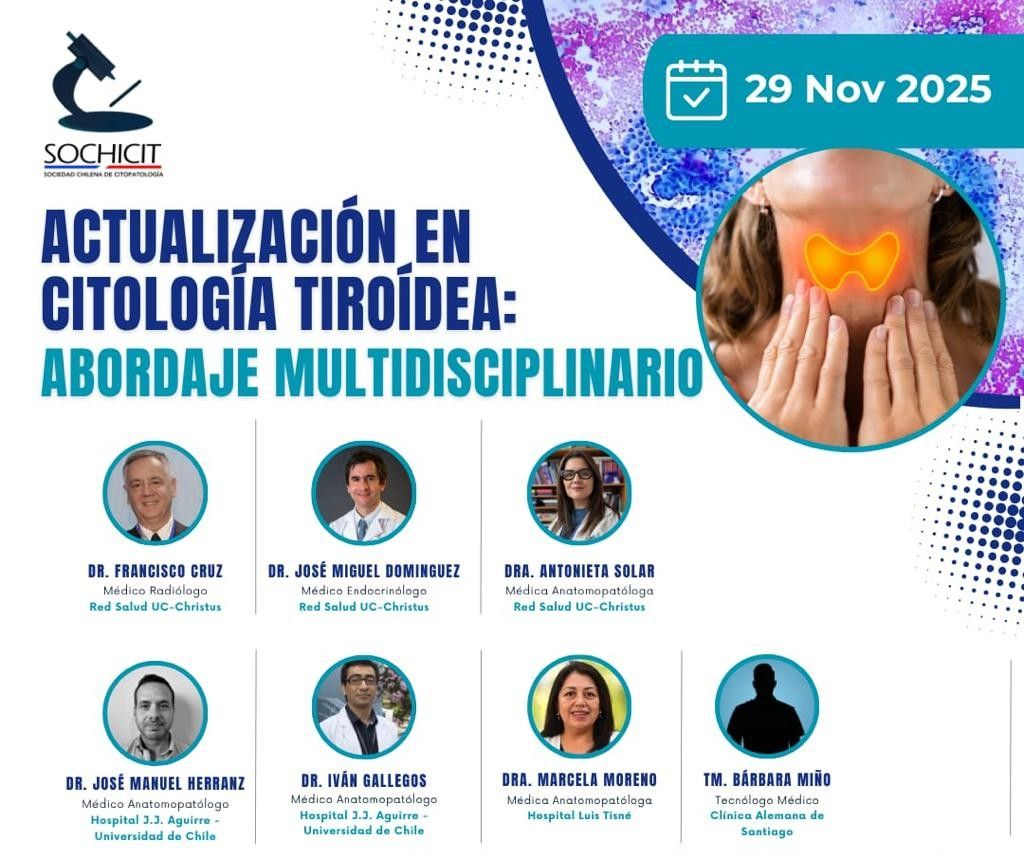 José Miguel Domínguez Ruiz-Tagle-3