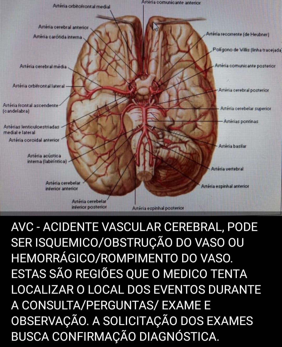 Eduardo Luiz Espíndola-9