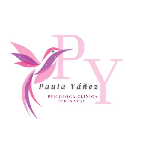 Paula Macarena Yáñez Belmar-3
