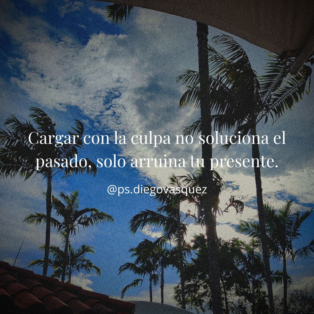 Diego Fernando Vasquez Espinosa-41