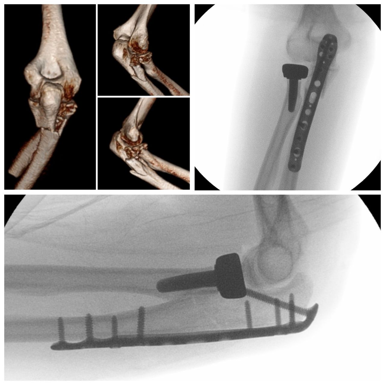 Carlos Moreno Castillo-11