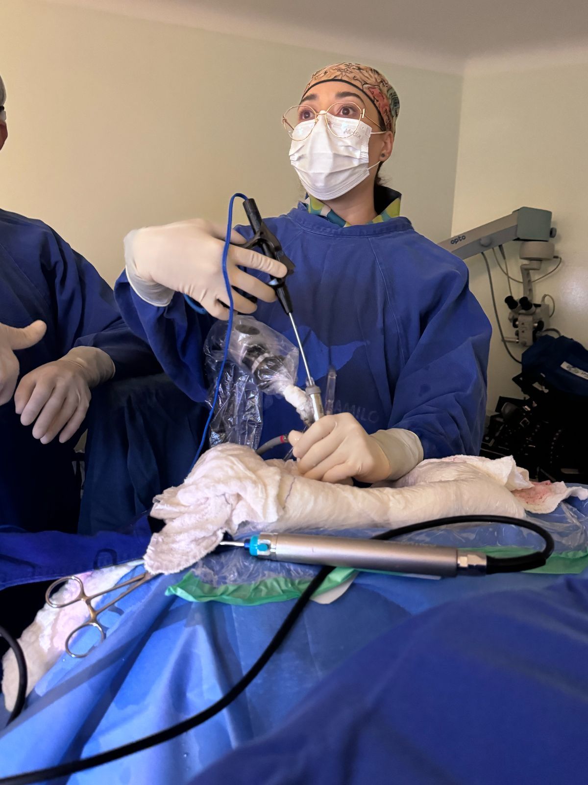 Raiza Marques Vieira Campos-1