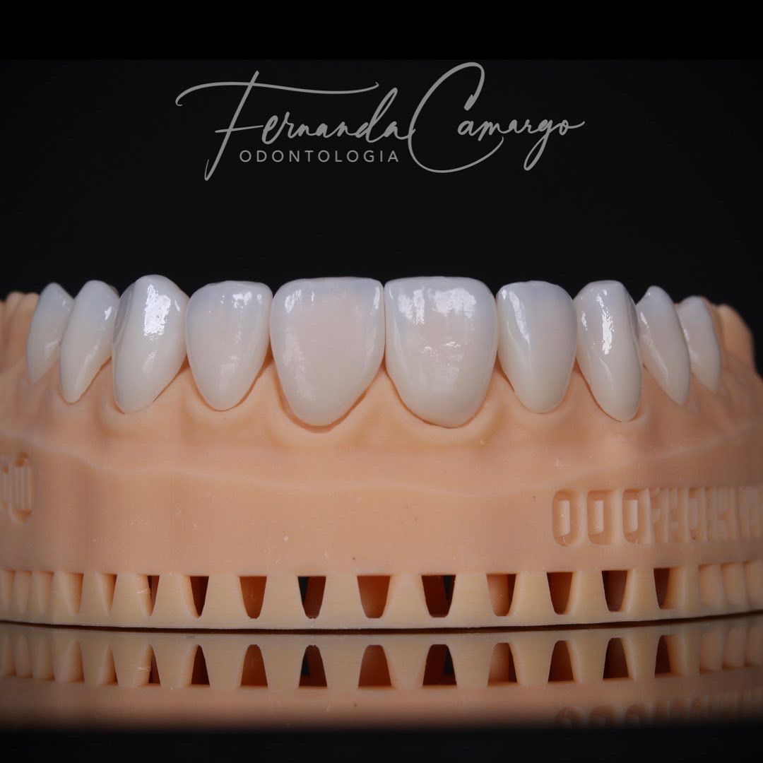 Fernanda Camargo Silveira-2