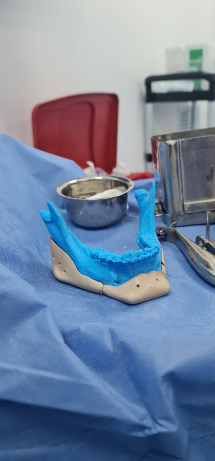 Luisa Fernanda Gomez Reyes-15