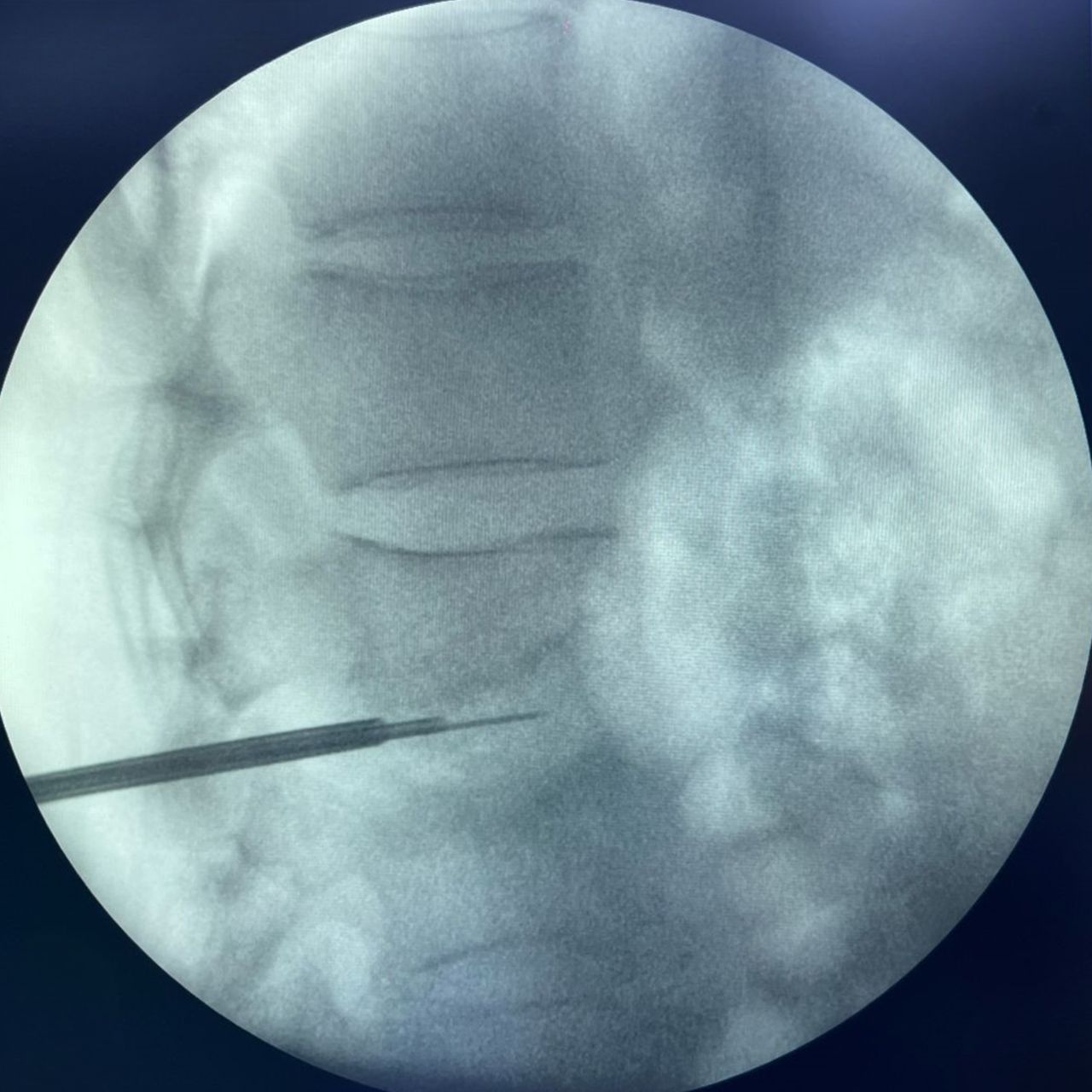 David Tafur Muñoz-1191