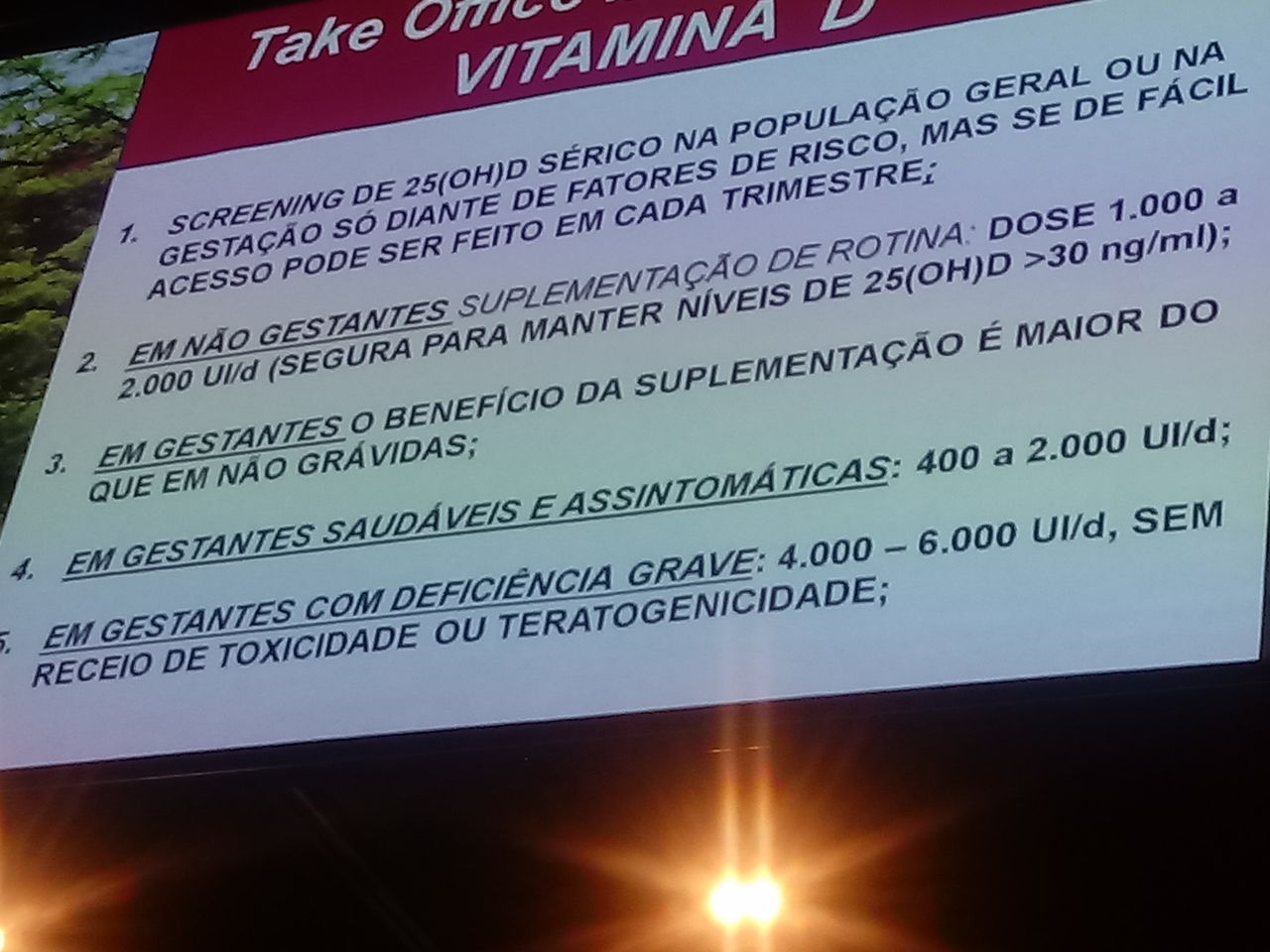 Renata Wanderley Nogueira-41