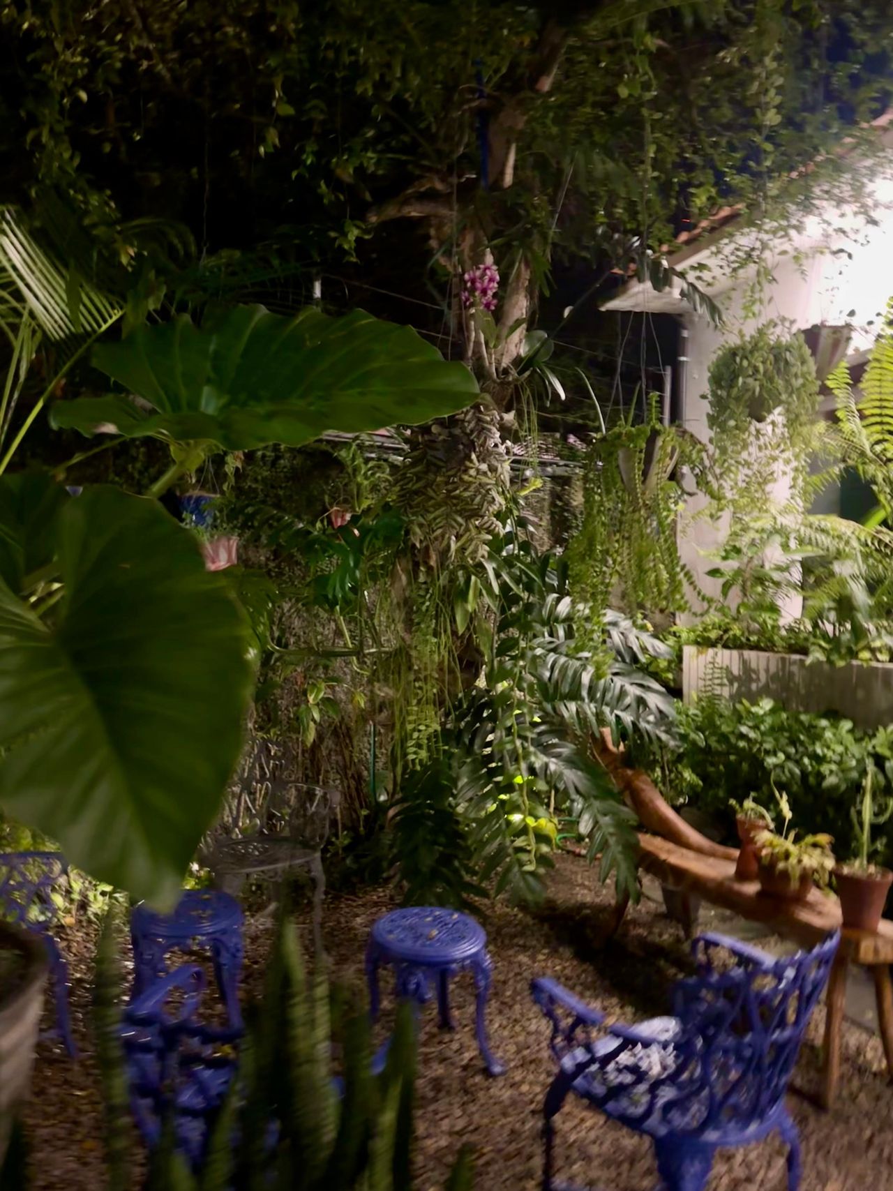 Maria Thereza Caxias Albano-3