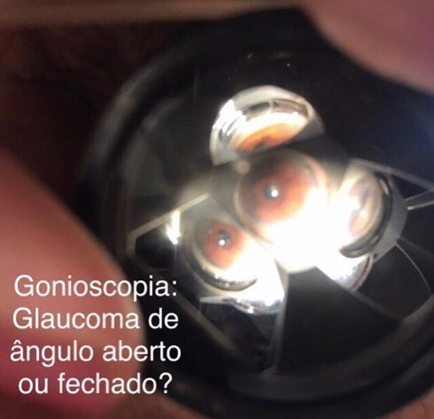 Daniela Erthal Righi Vieira-15