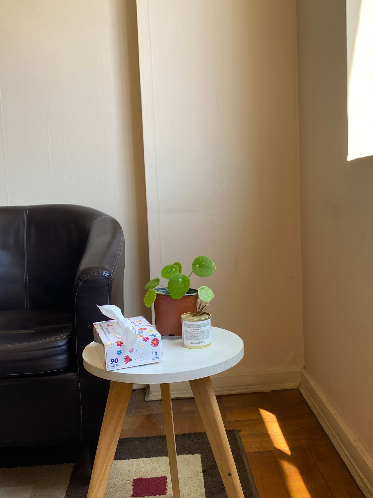 Javiera Cifuentes Meza-3