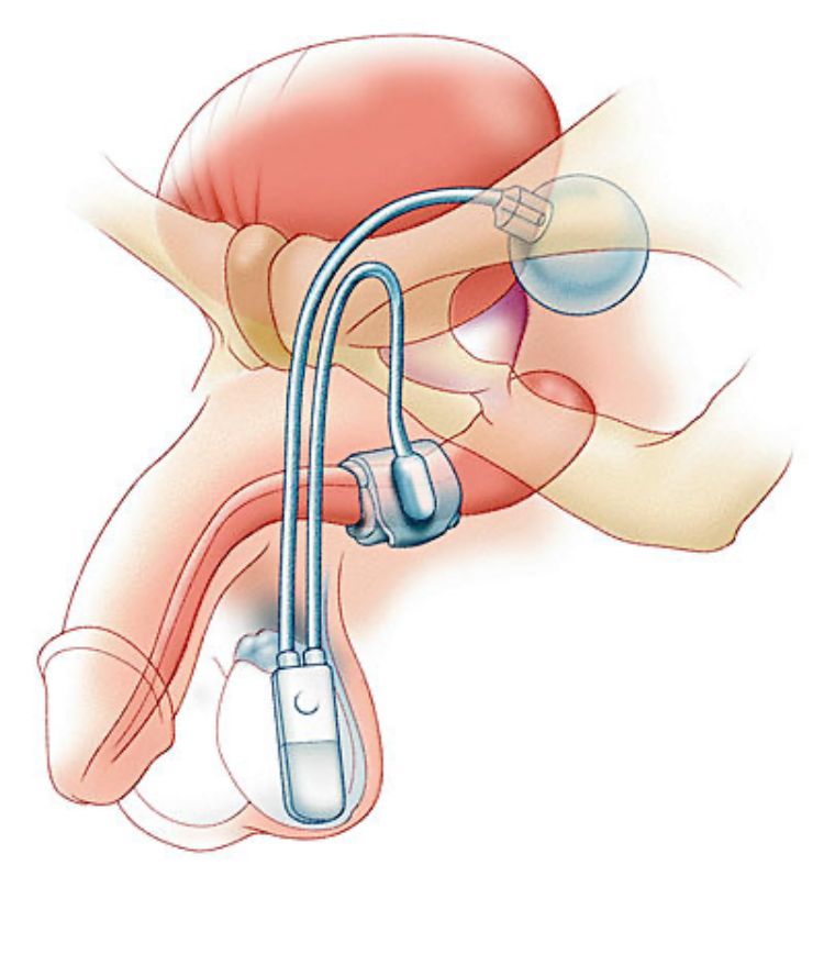 Luis Fernando Echeverry Molina-6