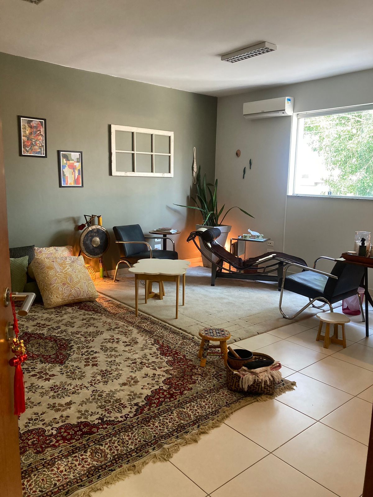 Fernanda Draganov Gelesko-3