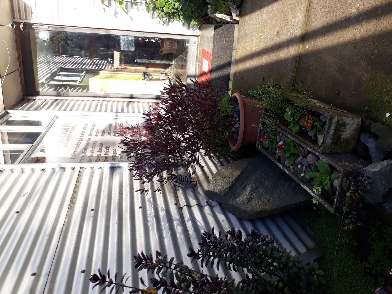 Claudio Mendoza Vega-3