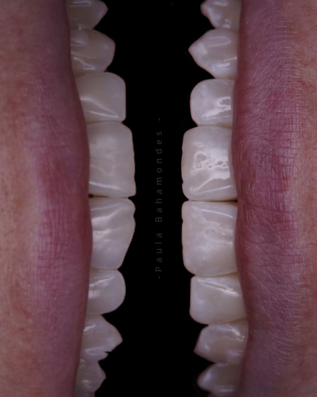 Paula Andrea  Bahamondes Duran -10