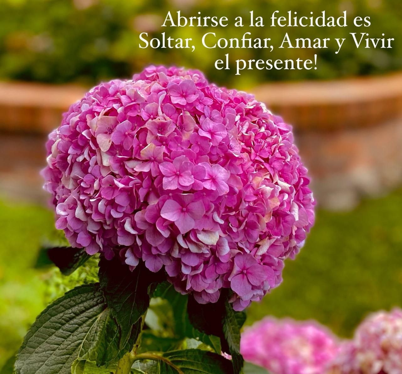 Johanna González Rodríguez-0