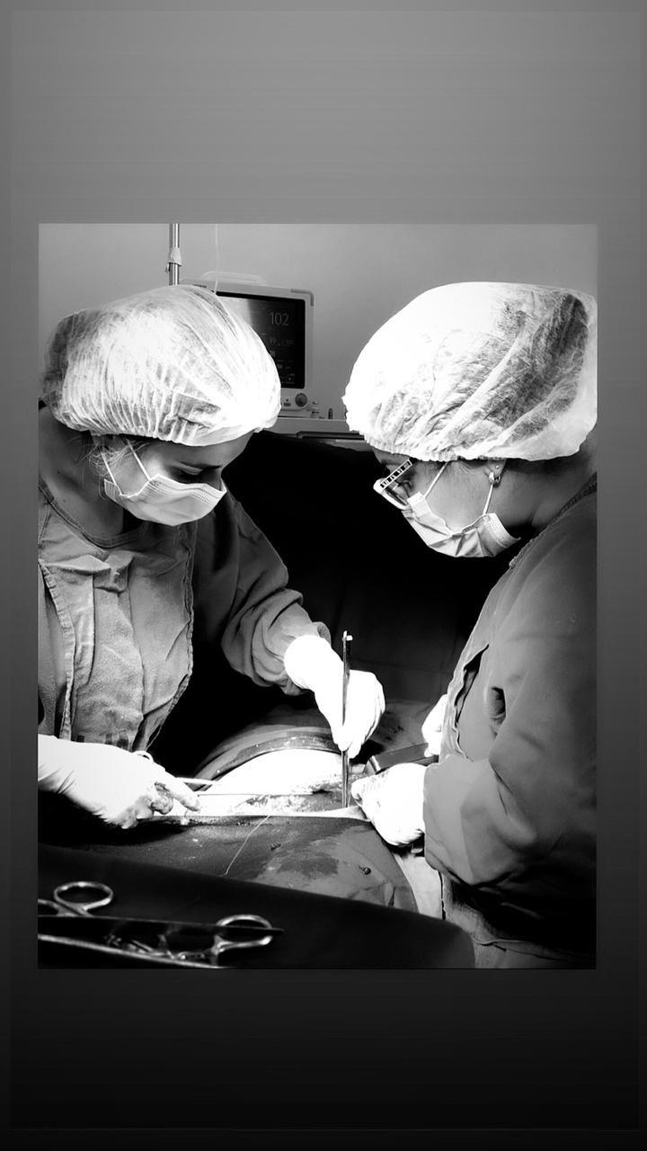 Leonor França Soares-6