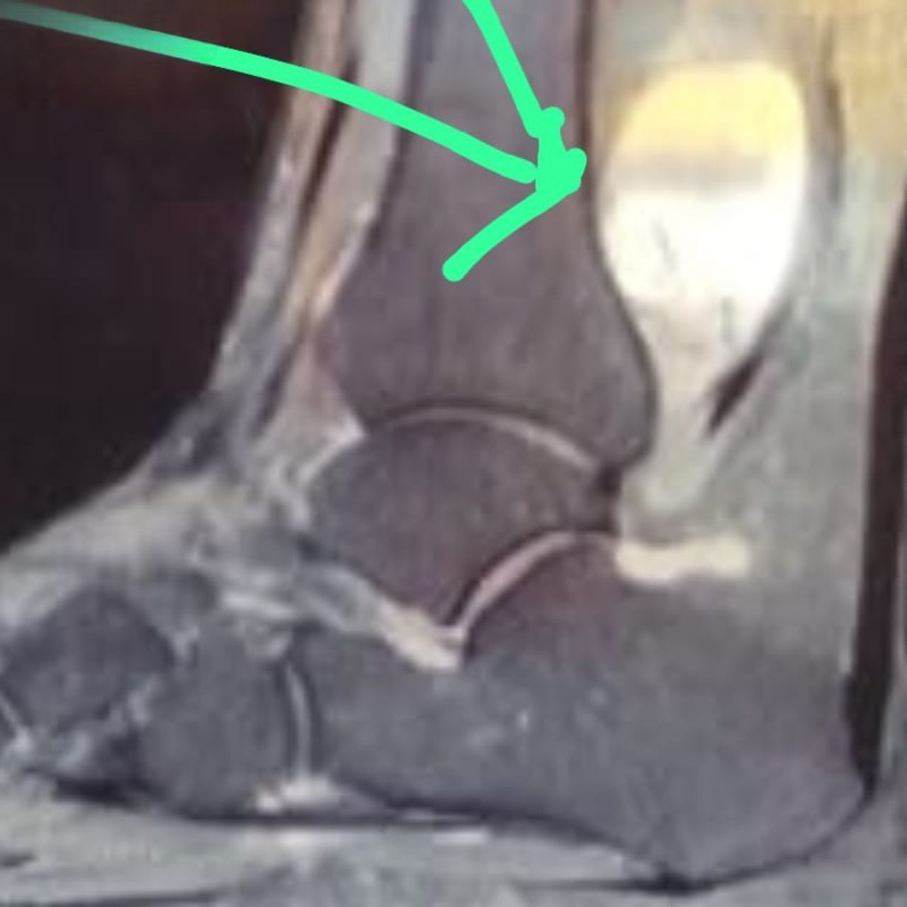 David Tafur Muñoz-1532