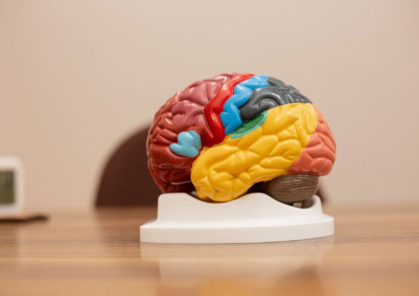 Giovana Barbosa De Siqueira-0