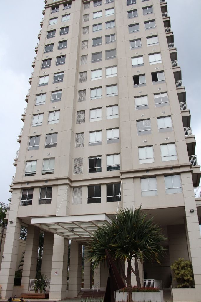 Alexandre Torres F. Brandão-1