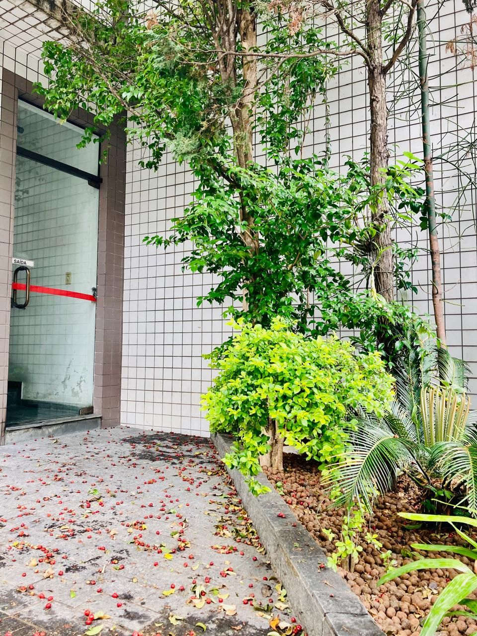 Flávio Carlos Seixas-1