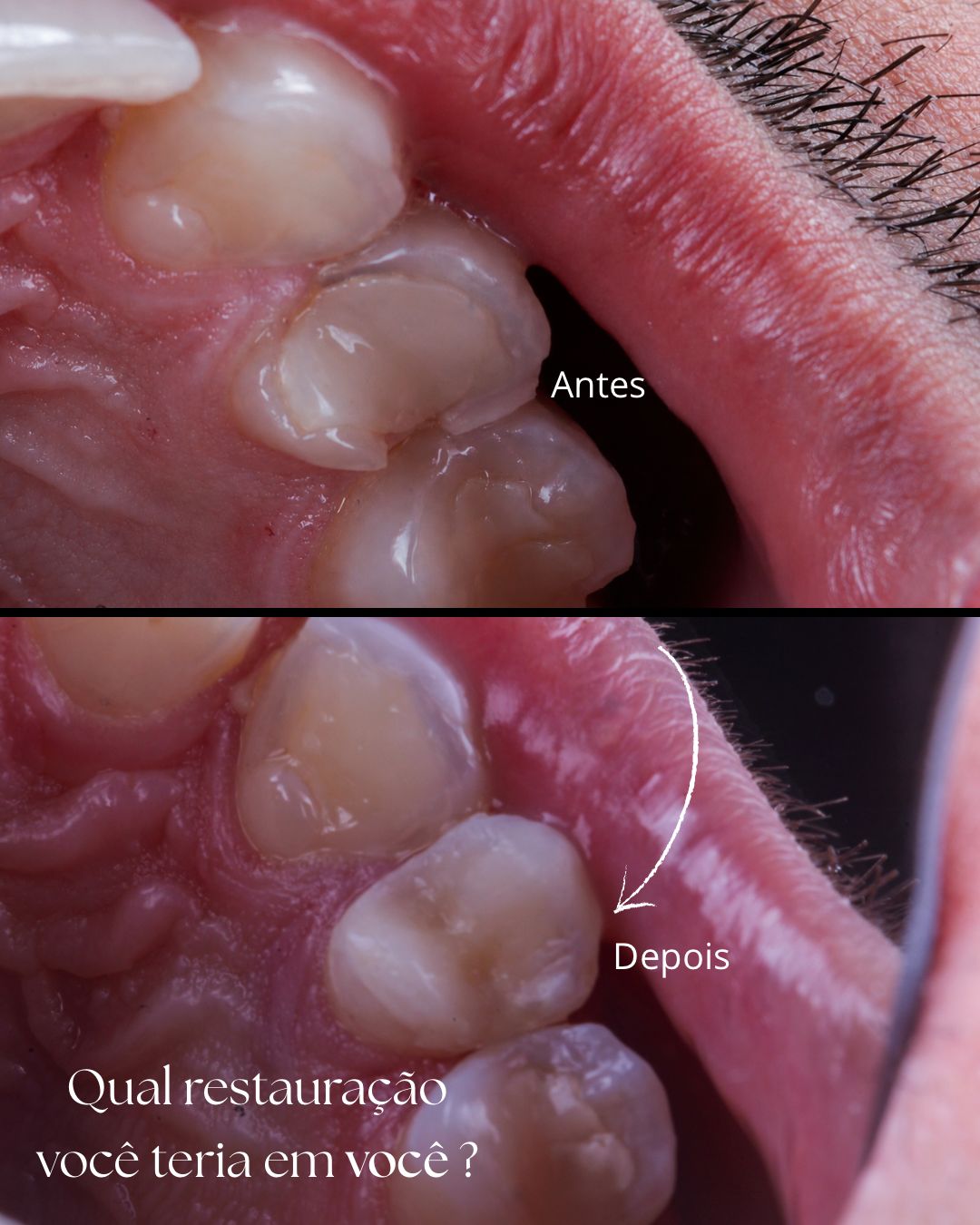 Aline Tavares-12