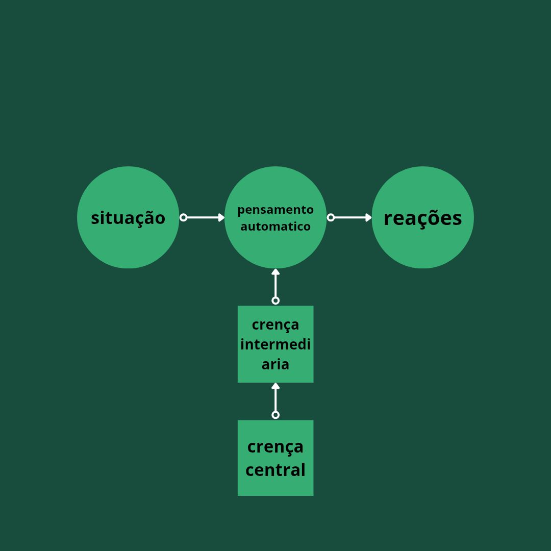 Victor Matheus Dias Secafim-3
