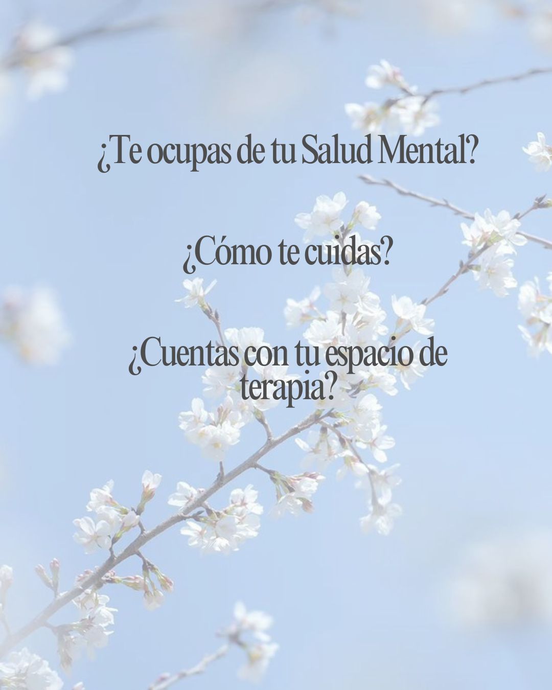 Lorena Lujan Rocha-7